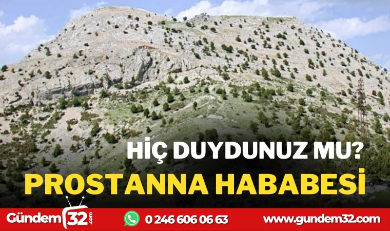 PROSTANNA HARABESİ