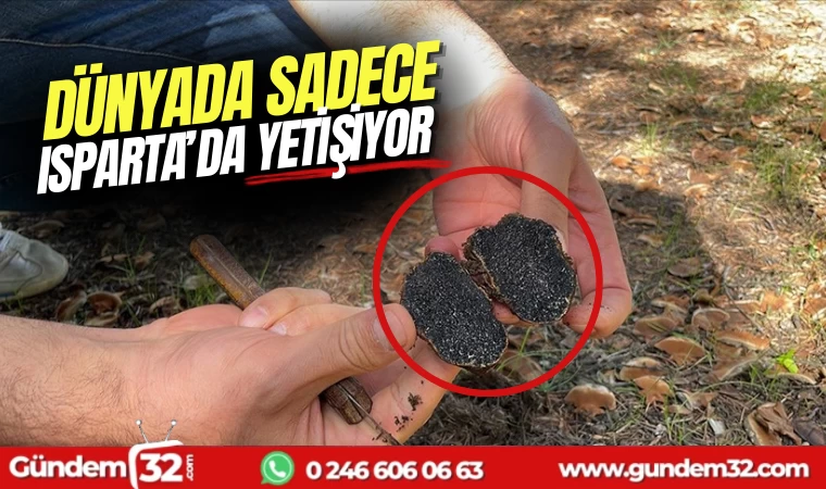 Dünyada Sadece Isparta'da Yetişiyor