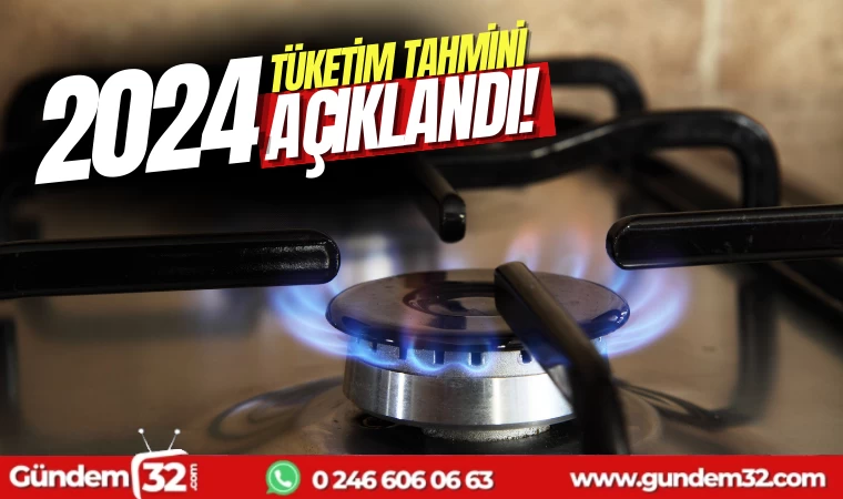 Türkiye’nin 2024 doğal gaz tüketim tahmini