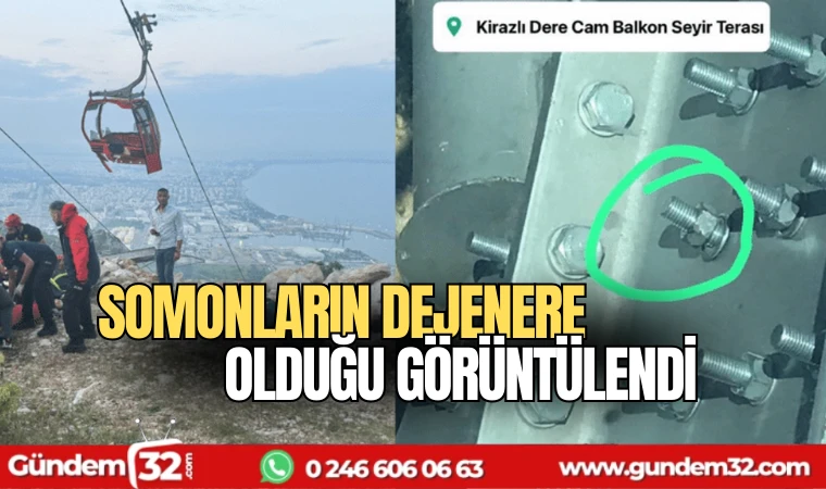 Seyir Terası’nı tutan somonların dejenere olduğu görüntülendi