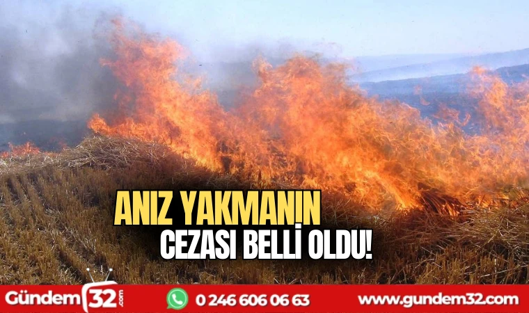 Anız yakmanın cezası belli oldu