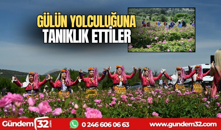 Gülün yolculuğuna tanıklık ettiler
