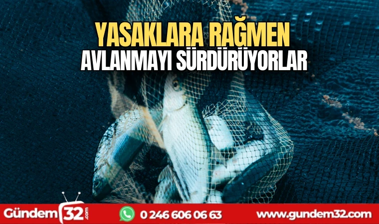 Yasaklara rağmen avlanmayı sürdürüyorlar