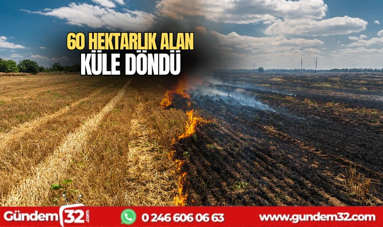 60 hektarlık alan küle döndü