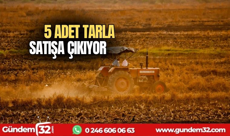 5 adet tarla satışa çıkıyor