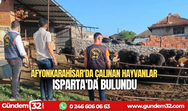 Afyonkarahisar'da çalınan hayvanlar Isparta'da bulundu