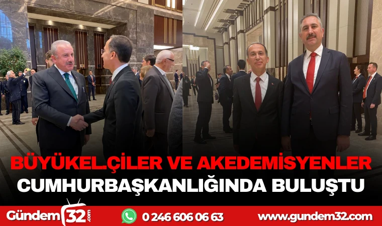 BÜYÜKELÇİLER VE AKADEMİSYENLER CUMHURBAŞKANLIĞIN'DA BULUŞTU