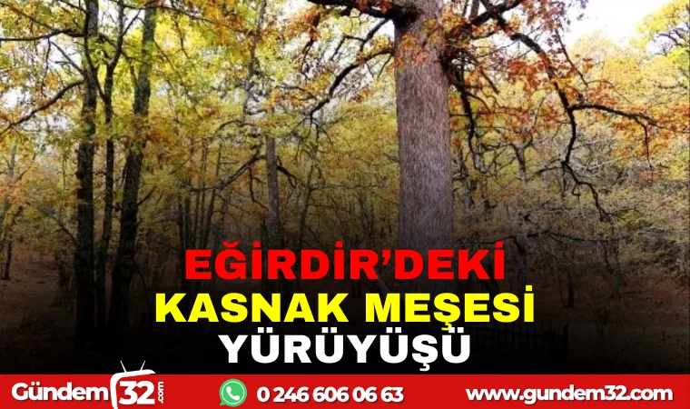 EĞİRDİR'DEKİ KASNAK MEŞESİ YÜRÜYÜŞÜ