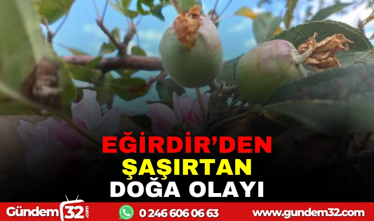 EĞİRDİR'DEN ŞAŞIRTAN DOĞA OLAYI