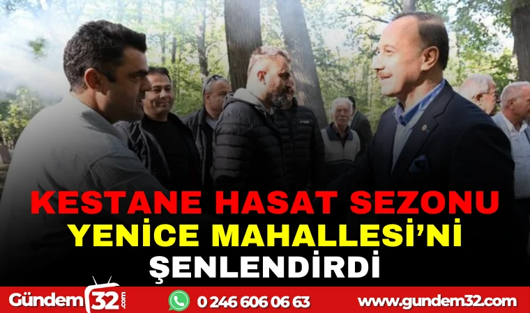 KESTANE HASAT SEZONU YENİCE MAHALLESİ'Nİ ŞENLENDİRDİ