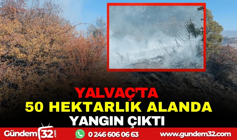 YALVAÇ ’TA 50 HEKTARLIK ALANDA YANGIN ÇIKTI
