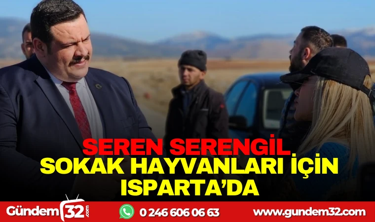 SEREN SERENGİL SOKAK HAYVANLARI İÇİN ISPARTA'DA