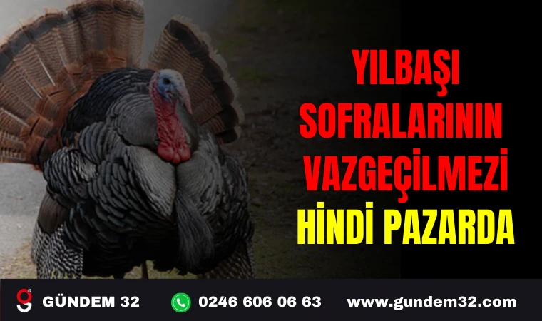 YILBAŞI SOFRALARININ VAZGEÇİLMEZİ HİNDİ PAZARDA
