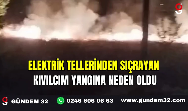 Elektrik Tellerinden Sıçrayan Kıvılcım Yangına Neden Oldu