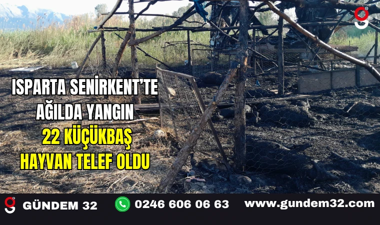 Isparta Senirkent’te Ağılda Yangın: 22 Küçükbaş Hayvan Telef Oldu