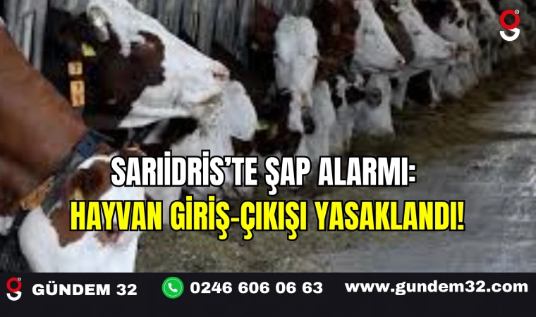 Sarıidris’te Şap Alarmı: Hayvan Giriş-Çıkışı Yasaklandı!