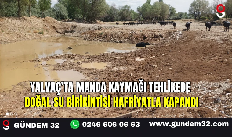 Yalvaç’ta Manda Kaymağı Tehlikede: Doğal Su Birikintisi Hafriyatla Kapandı