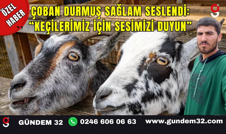 Çoban Durmuş Sağlam Seslendi: “Keçilerimiz İçin Sesimizi Duyun”
