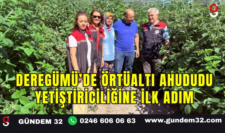 Deregümü’de Örtüaltı Ahududu Yetiştiriciliğine İlk Adım