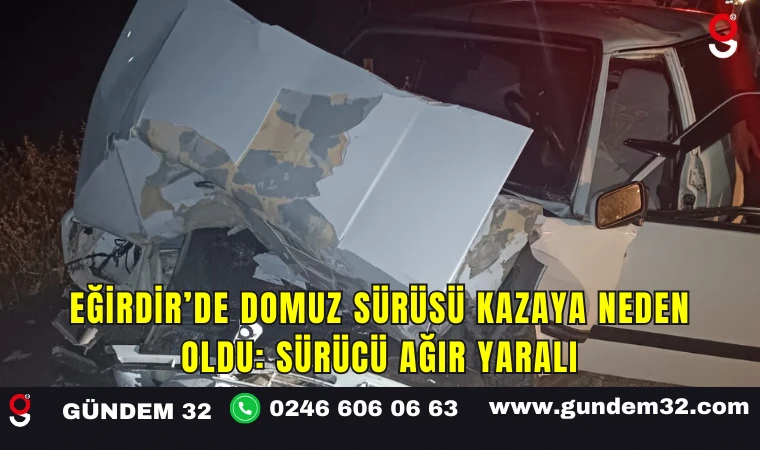 Eğirdir’de Domuz Sürüsü Kazaya Neden Oldu: Sürücü Ağır Yaralı