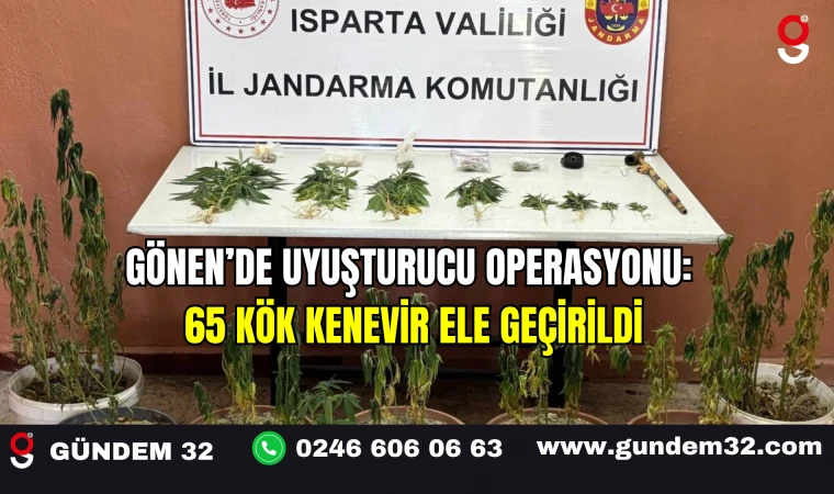 Gönen’de Uyuşturucu Operasyonu: 65 Kök Kenevir Ele Geçirildi