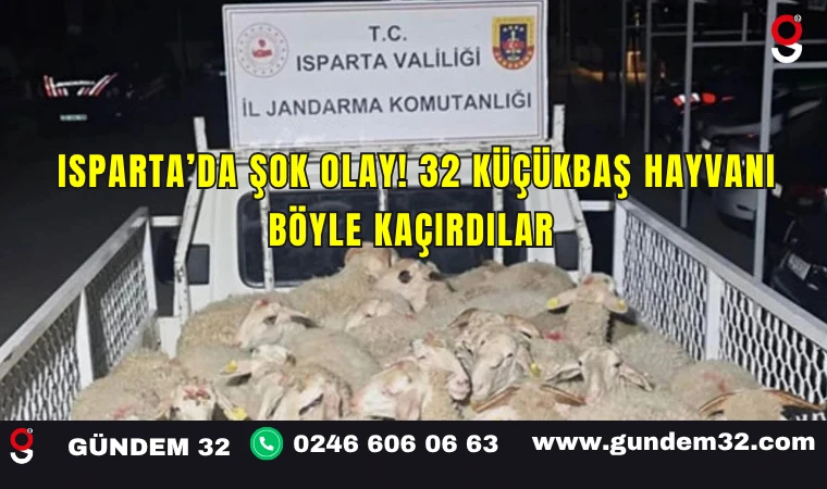 Isparta’da Şok Olay! 32 Küçükbaş Hayvanı Böyle Kaçırdılar