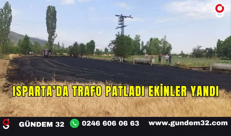 Isparta’da Trafo Patladı, Ekinler Yandı
