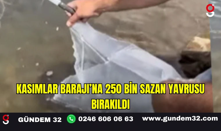 Kasımlar Barajı’na 250 Bin Sazan Yavrusu Bırakıldı
