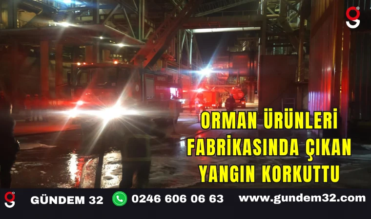 Orman Ürünleri Fabrikasında Çıkan Yangın Korkuttu