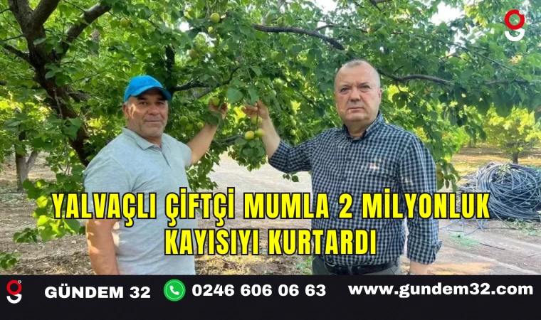 Yalvaçlı Çiftçi Mumla 2 Milyonluk Kayısıyı Kurtardı