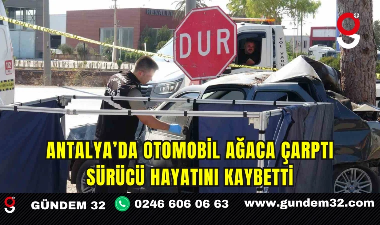 Antalya’da Otomobil Ağaca Çarptı Sürücü Hayatını Kaybetti
