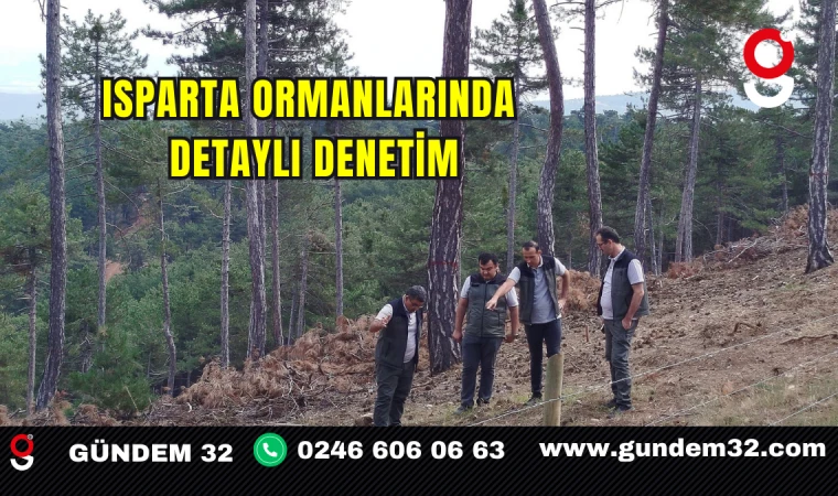 Isparta Ormanlarında Detaylı Denetim