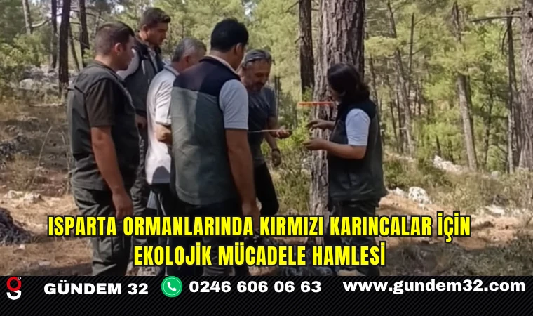 Isparta Ormanlarında Kırmızı Karıncalar İçin Ekolojik Mücadele Hamlesi