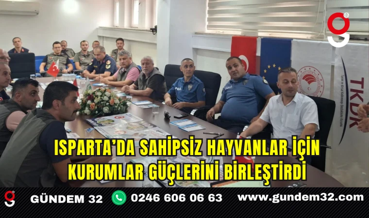 Isparta’da Sahipsiz Hayvanlar İçin Kurumlar Güçlerini Birleştirdi