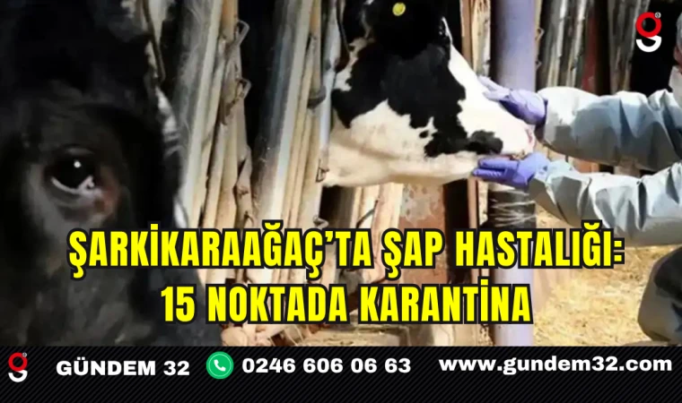 Şarkikaraağaç’ta Şap Hastalığı: 15 Noktada Karantina