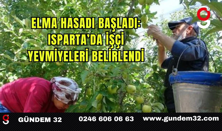 Elma Hasadı Başladı: Isparta’da İşçi Yevmiyeleri Belirlendi