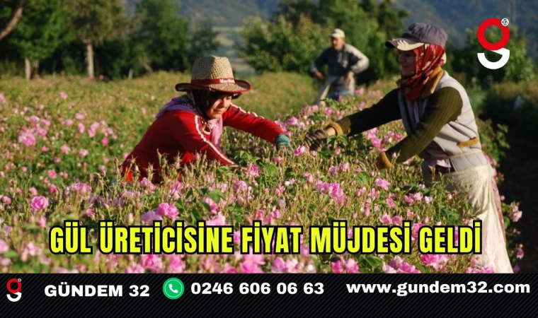 Gül Üreticisine Fiyat Müjdesi Geldi