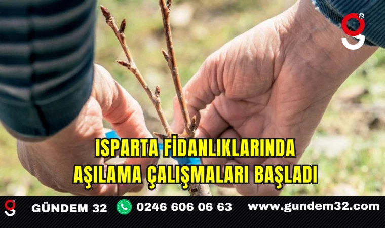 Isparta Fidanlıklarında Aşılama Çalışmaları Başladı