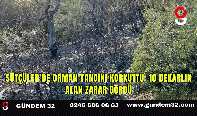 Sütçüler’de Orman Yangını Korkuttu: 10 Dekarlık Alan Zarar Gördü