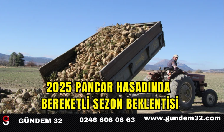 2025 Pancar Hasadında Bereketli Sezon Beklentisi