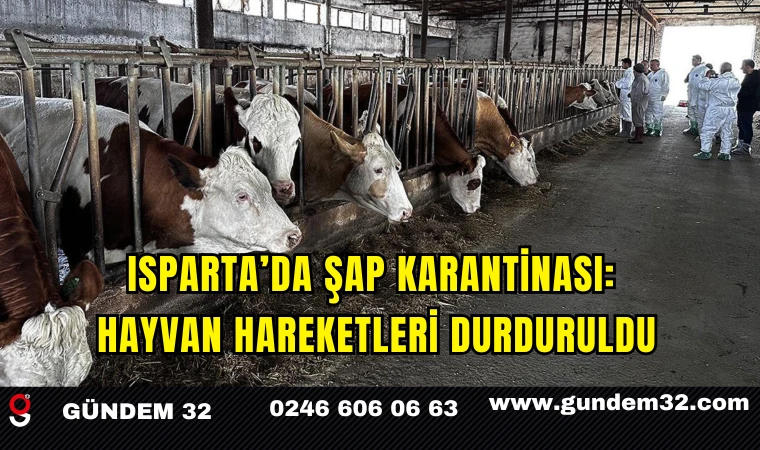 Isparta’da Şap Karantinası: Hayvan Hareketleri Durduruldu