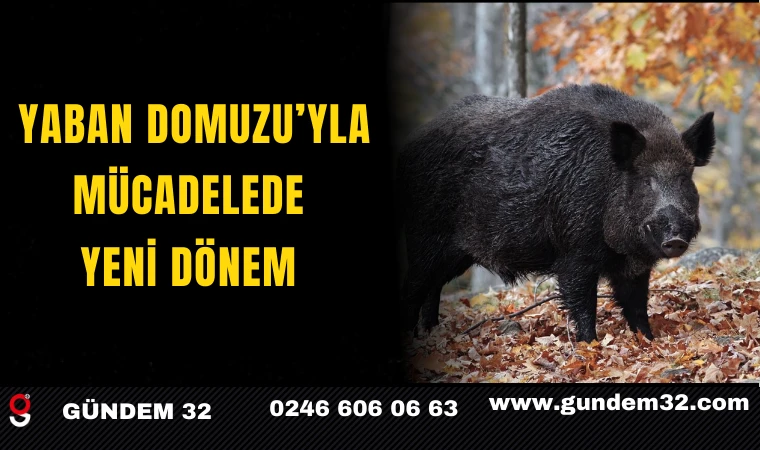 Yaban Domuzuyla Mücadelede Yeni Dönem