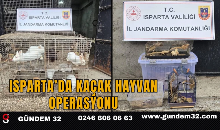Isparta’da Kaçak Hayvan Operasyonu: 147 Hayvan Ele Geçirildi