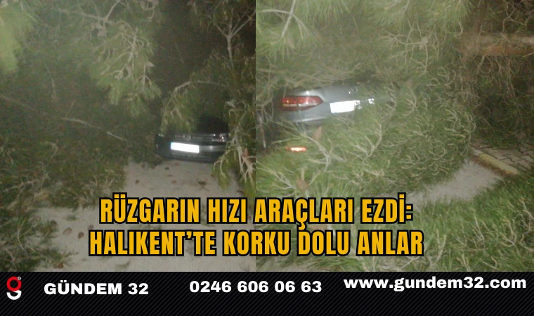 Isparta’da Şiddetli Rüzgar Ağaçları Devirdi: Araçlar Zarar Gördü