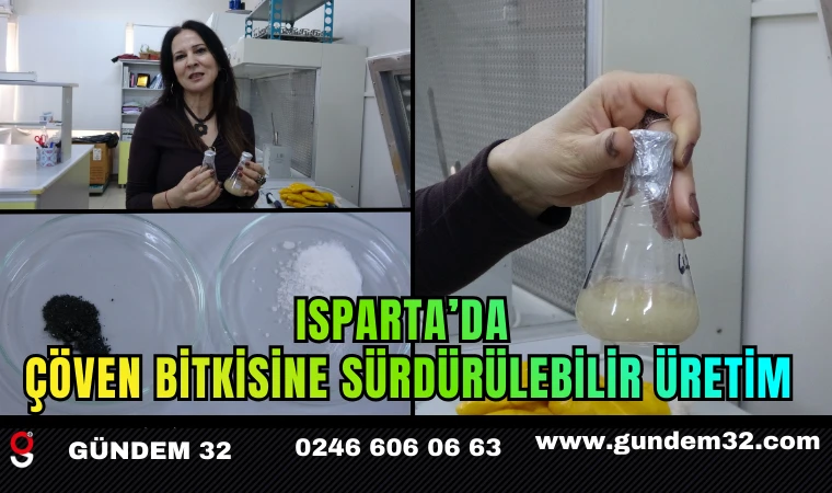 Isparta’da Çöven Bitkisine Sürdürülebilir Üretim