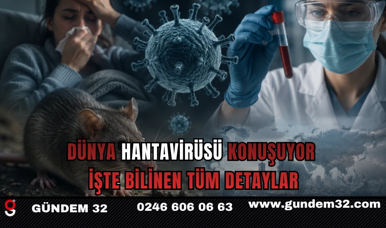 Dünya Hantavirüsü Konuşuyor: İşte Bilinen Tüm Detaylar