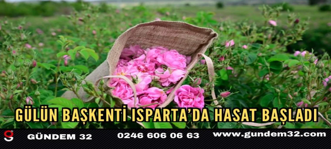 Isparta’da Gül Sezonu Açıldı: Üreticiler Hasada Başladı