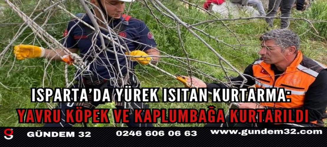 Isparta’da Yürek Isıtan Kurtarma: Yavru Köpek ve Kaplumbağa Kurtarıldı