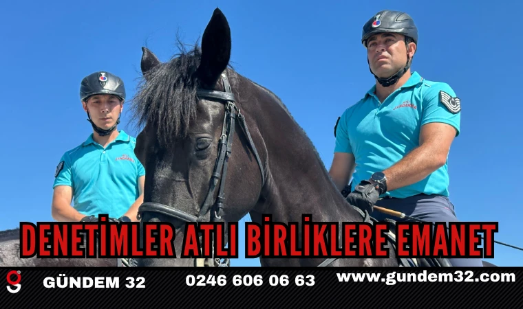 DENETİMLER ATLI BİRLİKLERE EMANET