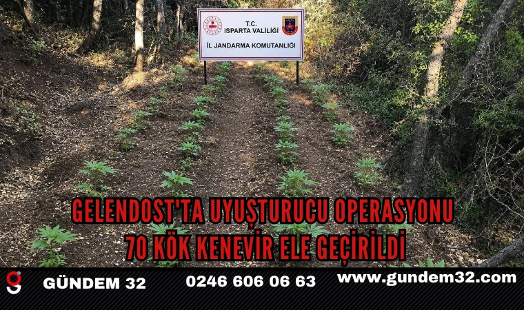 Gelendost'ta Uyuşturucu Operasyonu: 70 Kök Kenevir Ele Geçirildi